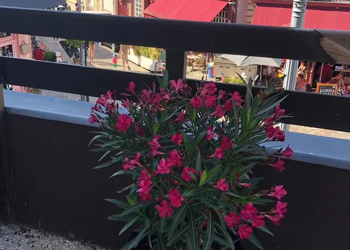 Apartamento Cosy Avec Grande Terrasse Vue Villers-sur-Mer